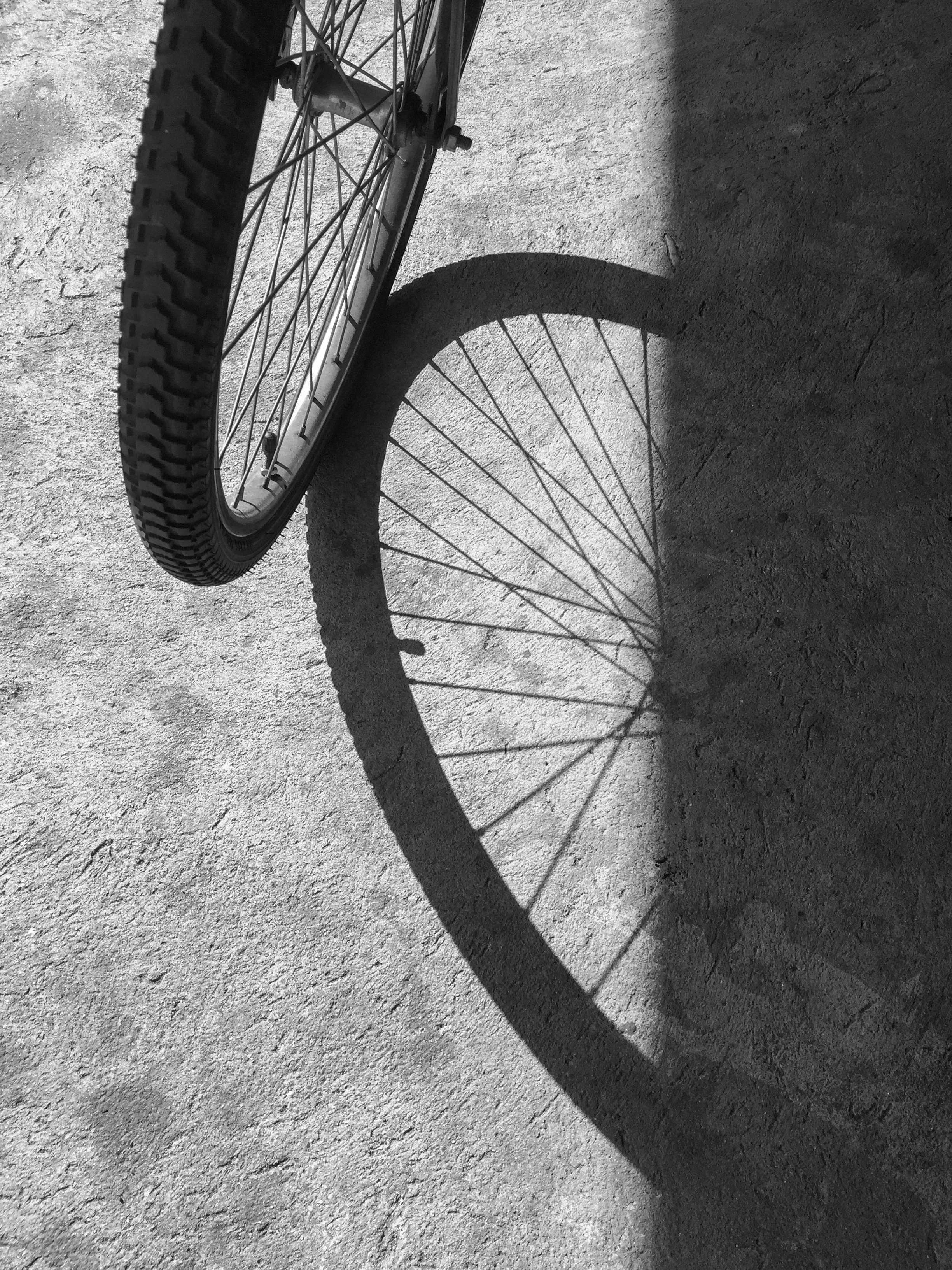 A bicycle wheel.